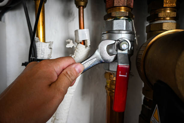 Best Best Plumbers Near Me  in Whitehall, MI